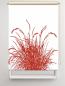 Preview: Rollo Reed24 rot blanco  - Sichtschutz Extartiqe